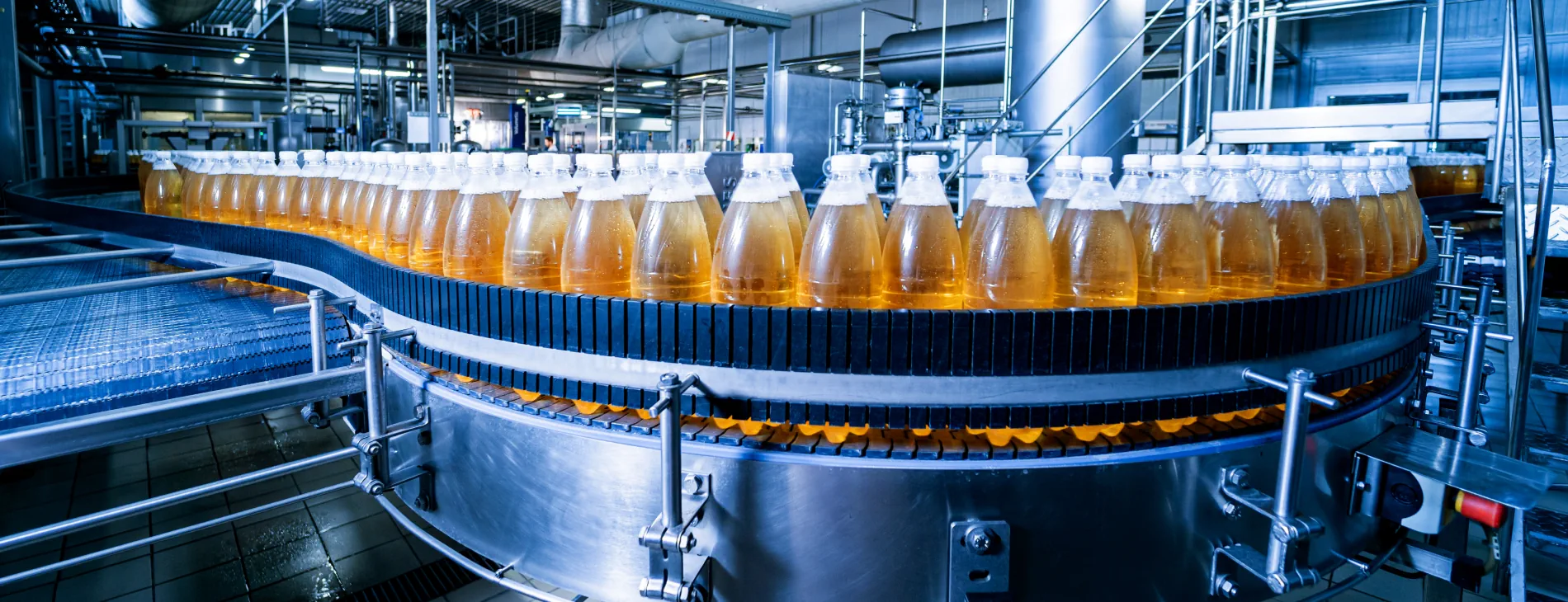 Filled beverage bottles on a conveyor belt of a bottling plant